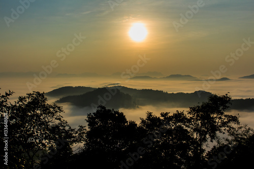 the morning in the mist of winter in Phu bo bit  Loei Thailand