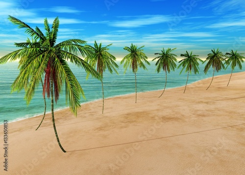 Palm trees on the sea beach on a blue sky background  tropical beach with palm trees    