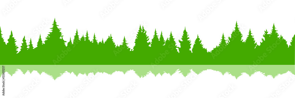 Obraz premium Nadelwald