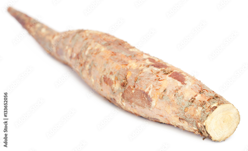 Root of Bomax tree used as ayurvedic treatment Root of Bomax tree used as ayurvedic treatment