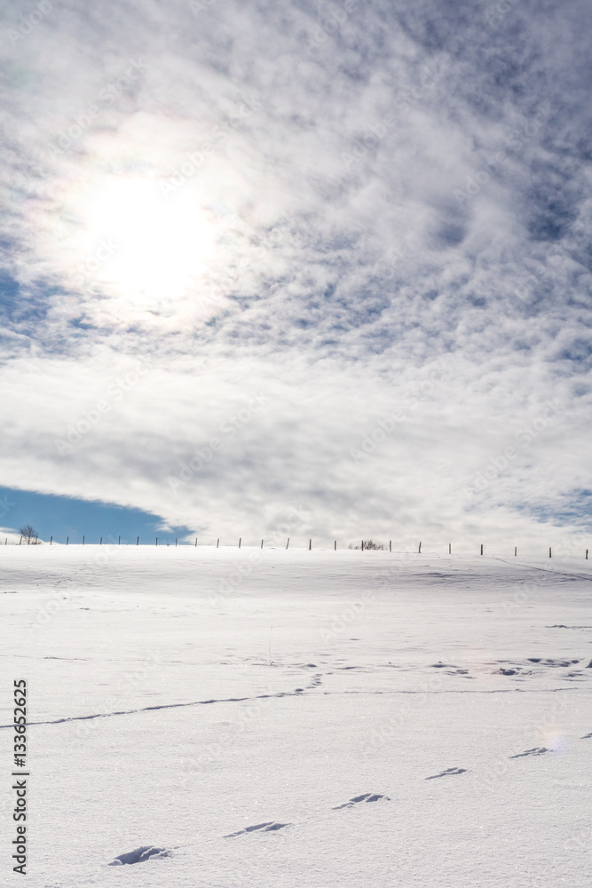 Die Wintersonne steht tief über dem verschneiten Feld