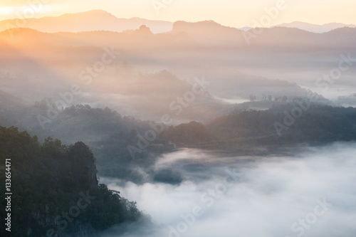 Scenic landscape on foggy hill at sunrise