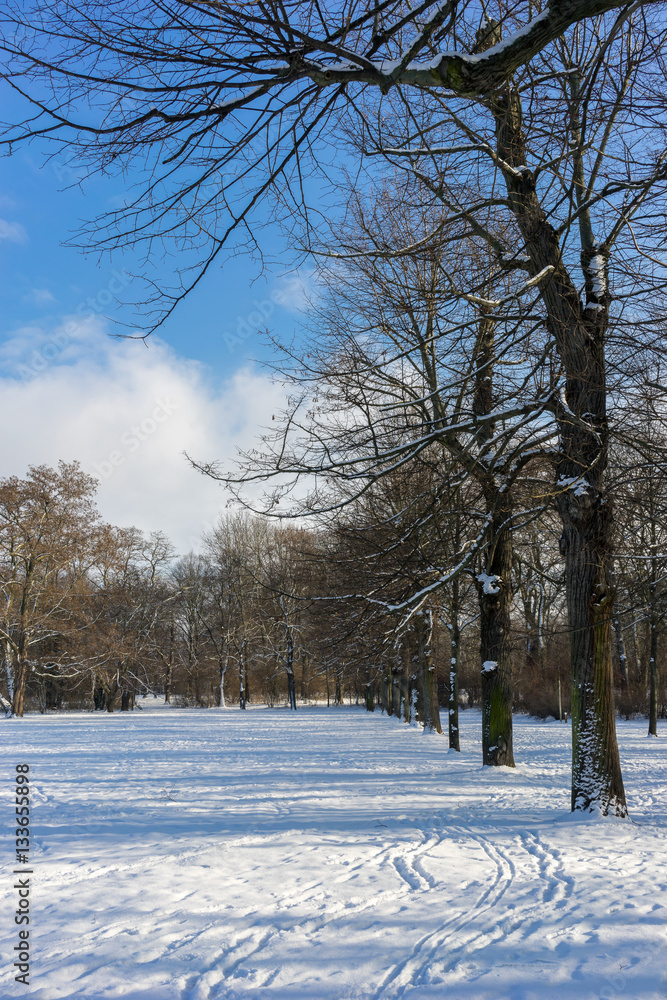 Obraz premium Wunderschöne Winterlandschaft
