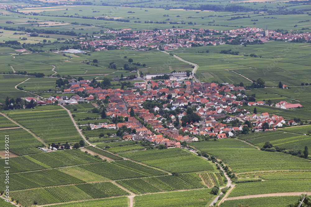 Panoramablick auf die Rheinebene Panoramablick auf die Rheinebene