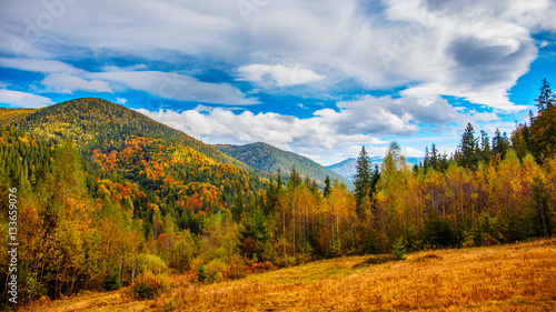 Autumn hills and trees with blue sky and sunlight. Colorful autumn landscape in the mountain