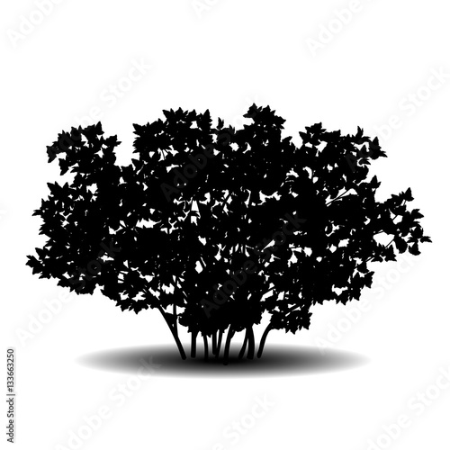 silhouette bush with leaves and shadow