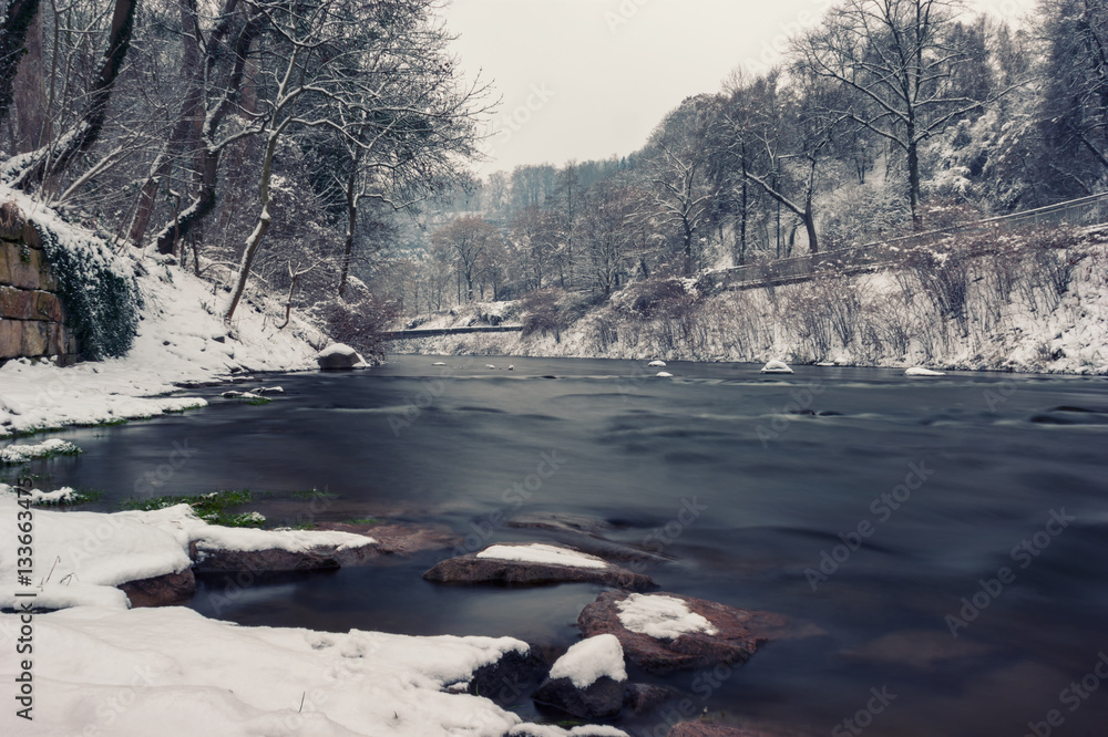 Winter Dream Winter Dream