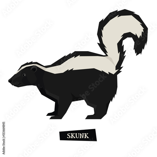 Wild animals collection Skunk Geometric style