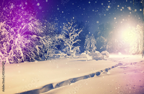 Winter park in snow. fantastic wintry landscape. frosty evening in city park. snow covered trees glowing in light lantern. instagram filter. retro vintage style. happy Christmas. © jenyateua