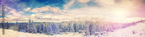panorama - snow covered alp pine and blue perfect sky, with clouds in the mountains. Picturesque and gorgeous wintry scene. instagram filter. soft light effect