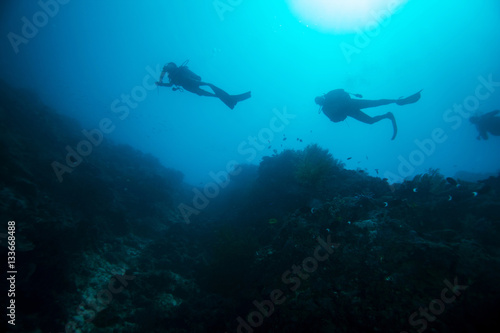 Scuba diver. Sipadan island. Celebes sea. Malaysia. © Pitcher