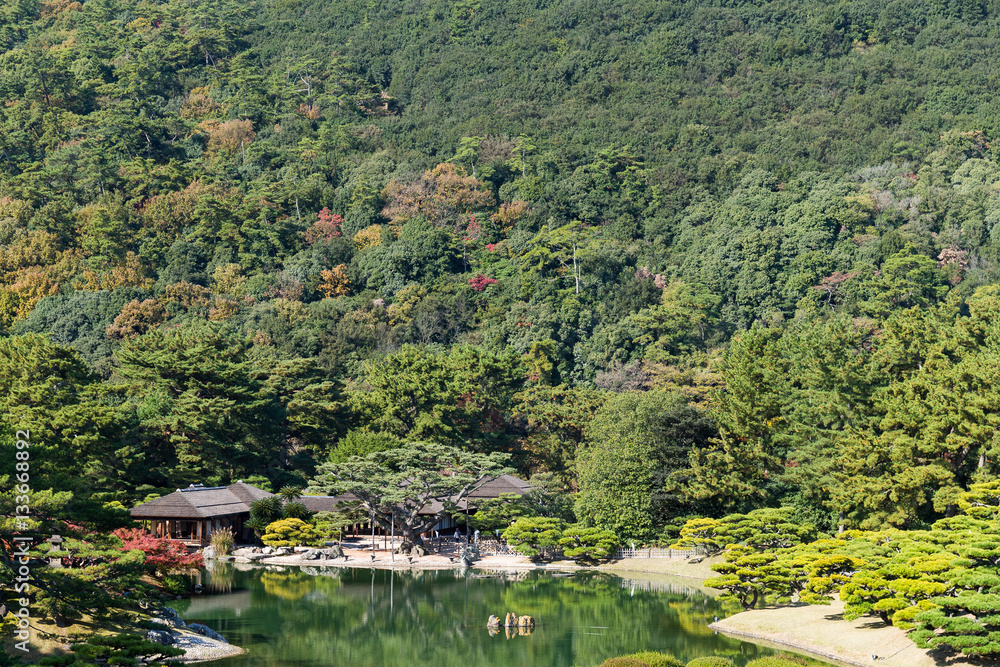 Japanese garden