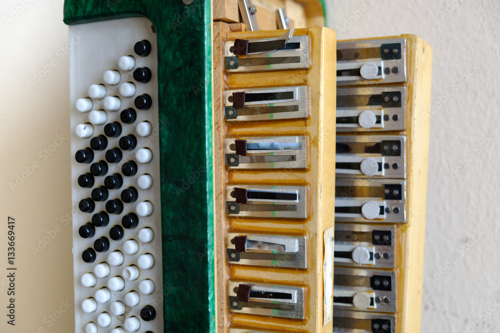 the left side of the accordion. exploded view the left side of the accordion. exploded view