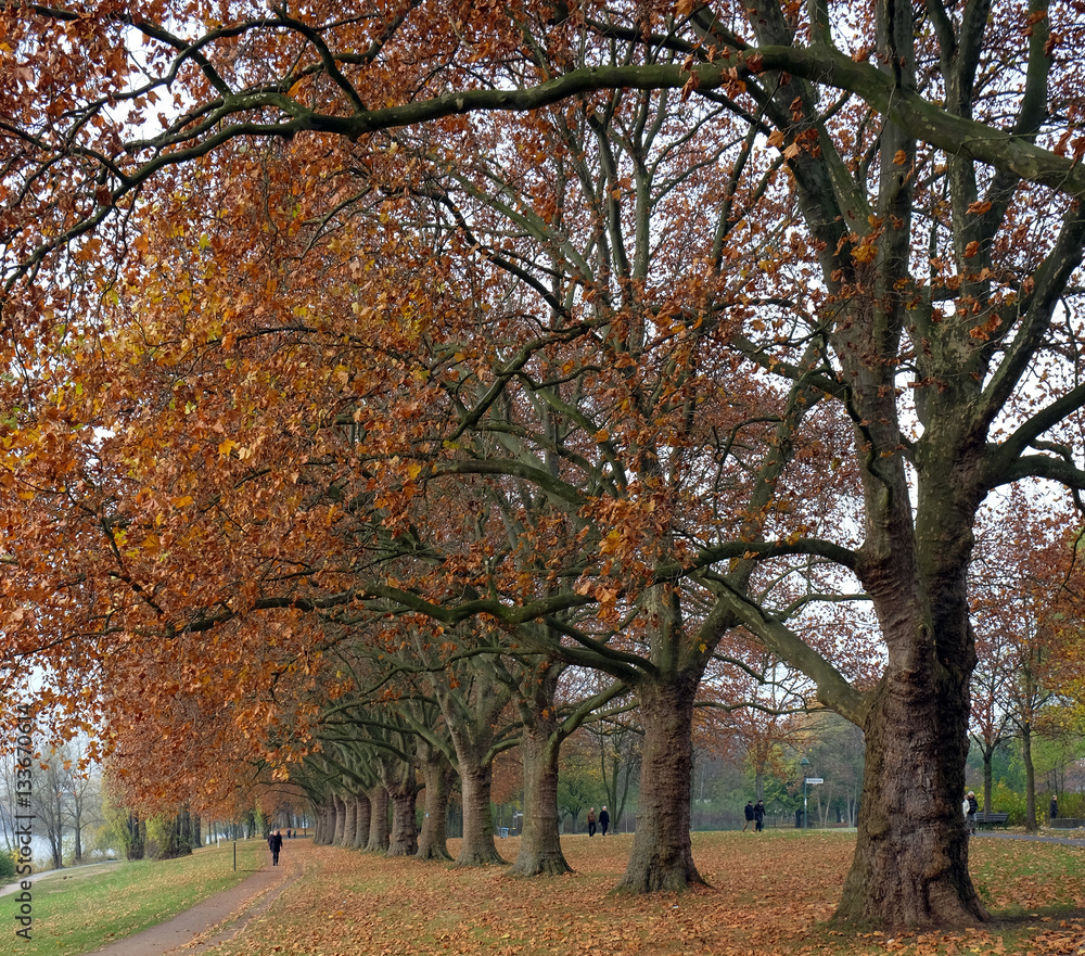 Beuel in Bonn