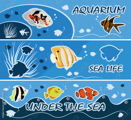 Colourful tropical fish banners templates flyers vector illustra © shustya