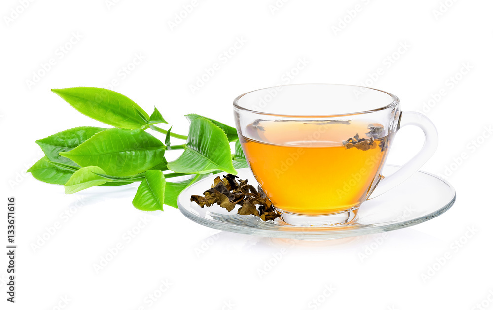 green tea leaf with a glass of tea on white background green tea leaf with a glass of tea on white background