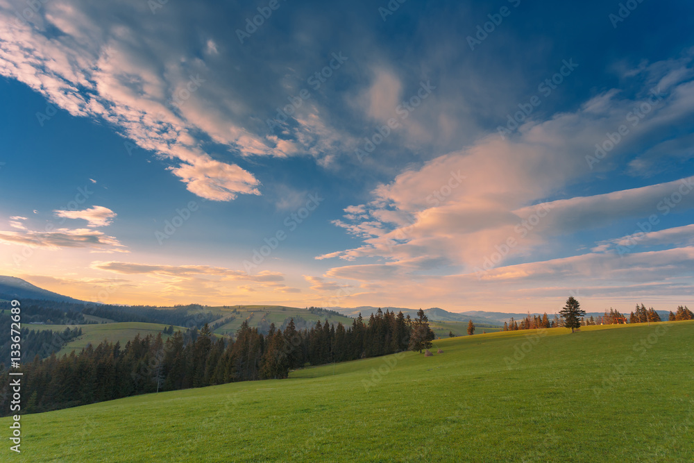 Green hills of Carpathian mountains in sunset light under beautiful cloudy sky. Ukraine.