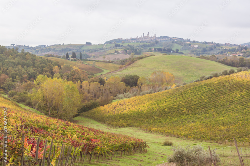 Autumn in Tuscany , Italy