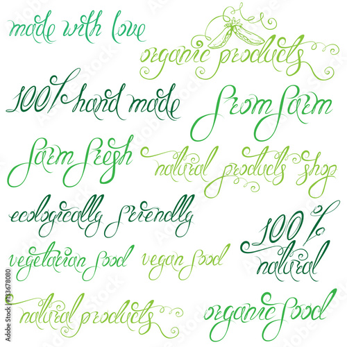 Collection of delicious vegetables signs, elements, labels, hand
