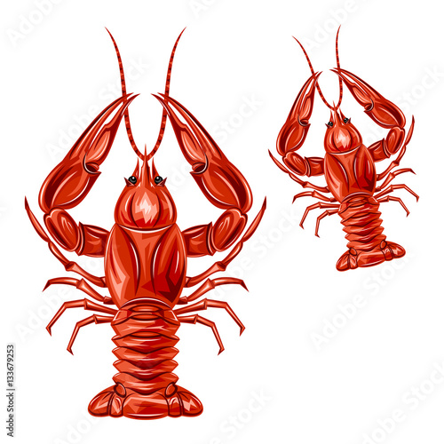 Crayfish