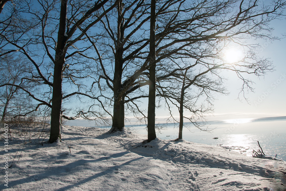 Winter an der Ostsee mit Schnee im Sonnenschein Winter an der Ostsee mit Schnee im Sonnenschein