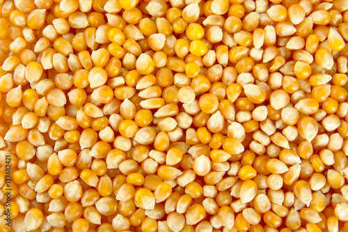 Grained texture of whole corn seeds