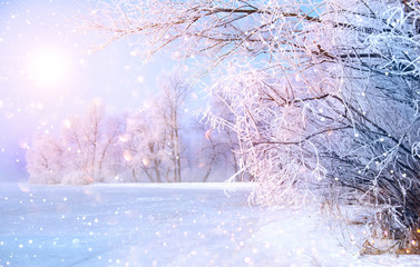 Tableau sur plexiglas Hiver Rivière glacée et arbres enneigés en forêt  © Subbotina Anna