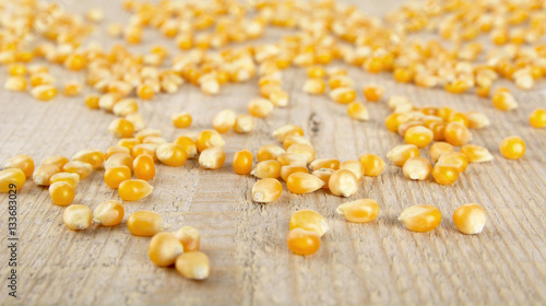 Scattered ripe dried yellow corn on wooden desk