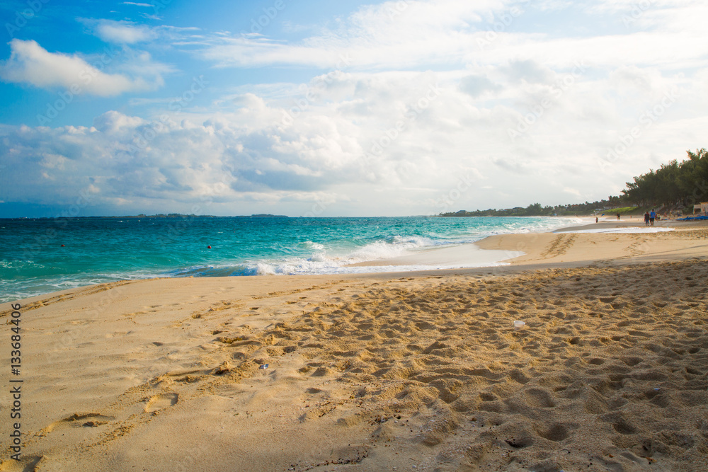Fototapeta premium Carribbean sea shore