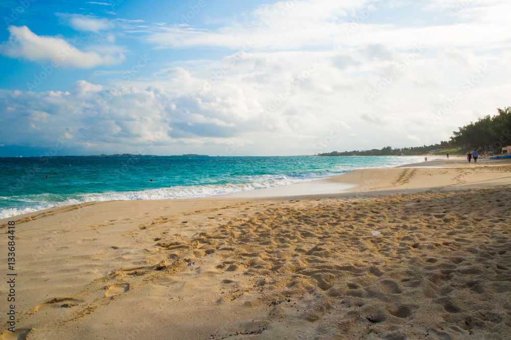 Obraz premium Carribbean sea shore