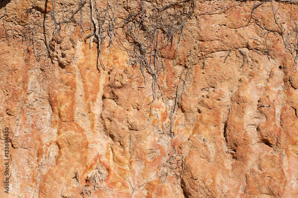 Obraz premium Backdrop, background, texture of the stone