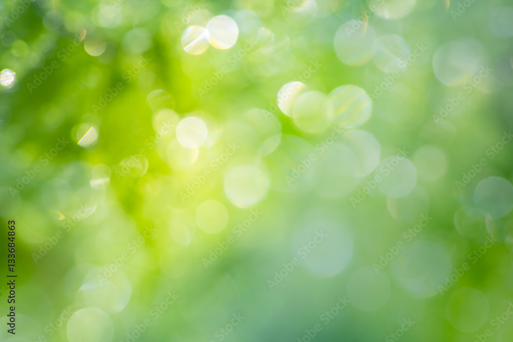 Obraz premium .Natural Bokeh,blurred bokeh.