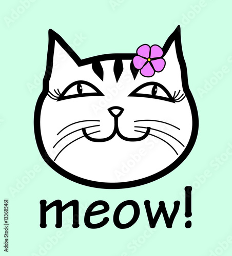 kitty