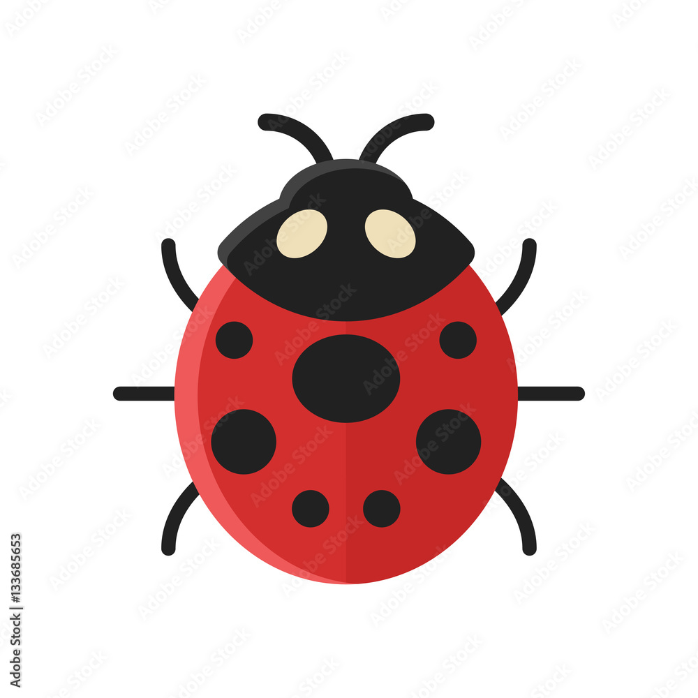 Vector flat style illustration of ladybug. Vector flat style illustration of ladybug.