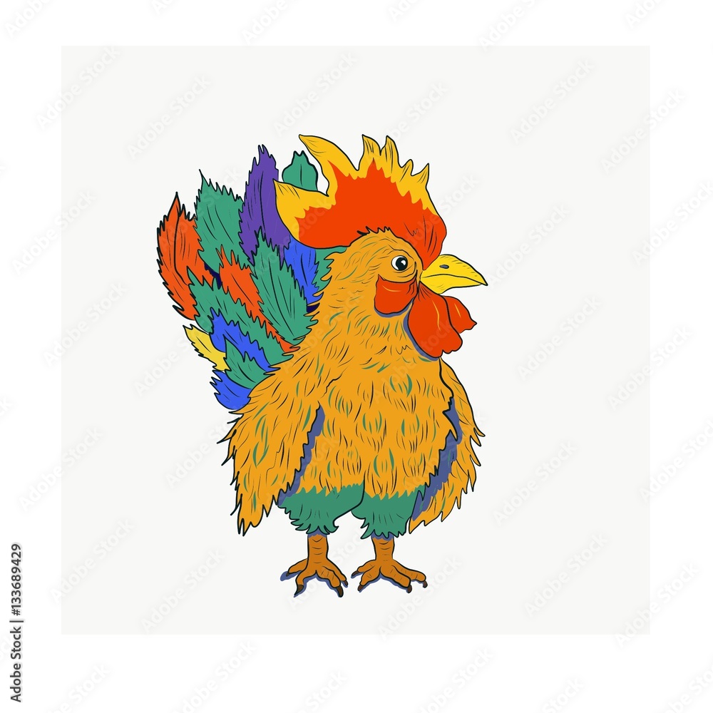 Fototapeta premium colorful rooster
