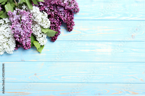 Blooming lilac flowers on a blue wooden table