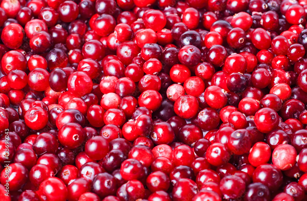 Crumbled cranberries close-up Crumbled cranberries close-up
