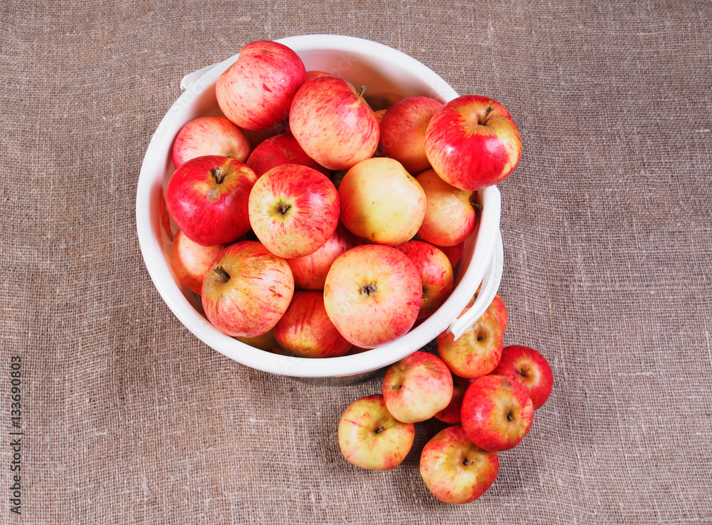 bucket with red apples collected and lying next to a pile of apples. bucket with red apples collected and lying next to a pile of apples.