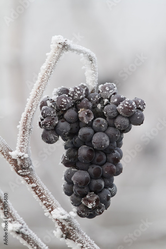 Eiswein