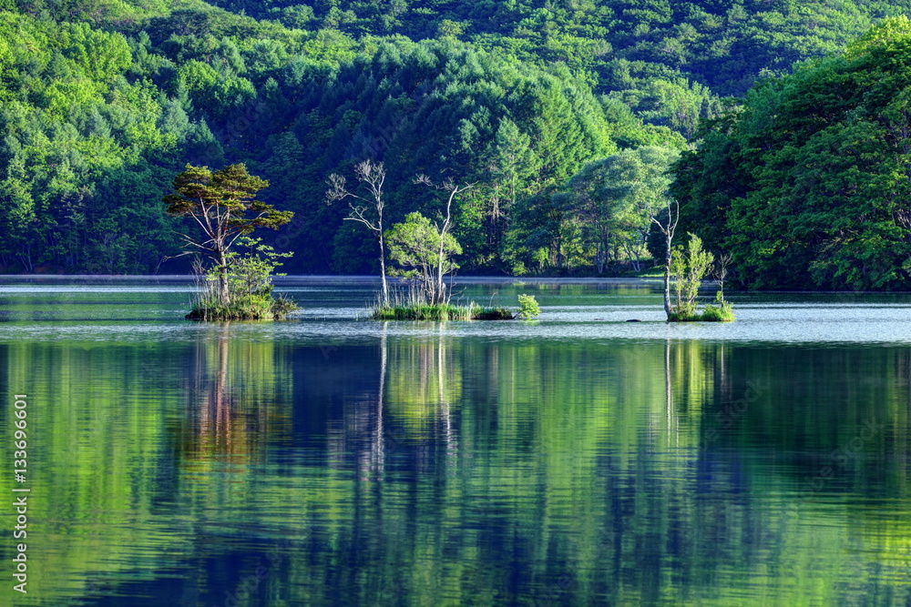Fototapeta premium 曽原湖の朝
