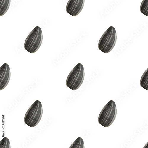 Seamless pattern of black sunflower seeds