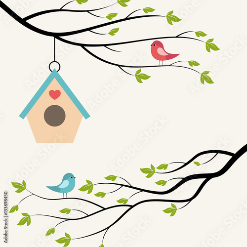 Birds on branch of tree and birdhouse. 
