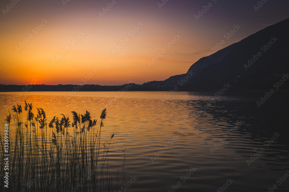 Fototapeta premium Sunset on the lake