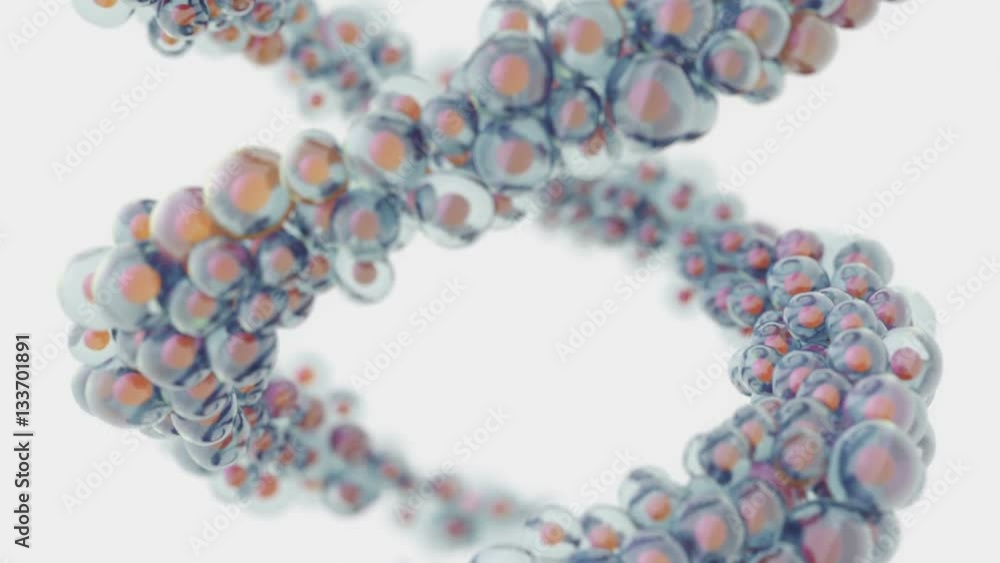 spiral multicellular structure spiral multicellular structure