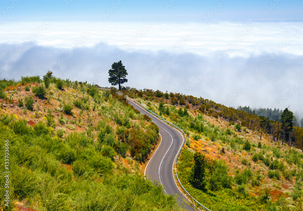 mountain route above the clouds in Tenerife Island, Spain