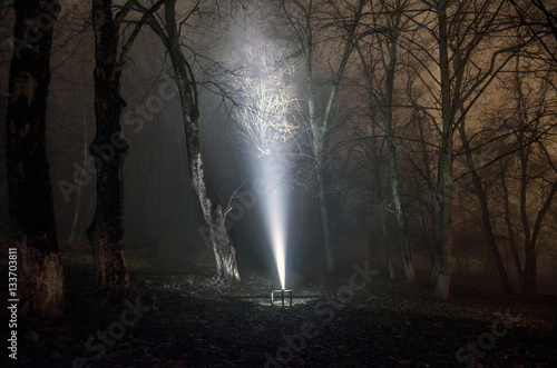 surreal light in dark forest, Magic fantasy lightsin the fairy tale foggy forest