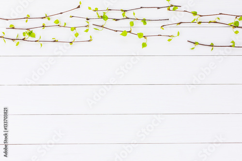 Spring background. Birch branches on white wooden background. Copy space, top view. 