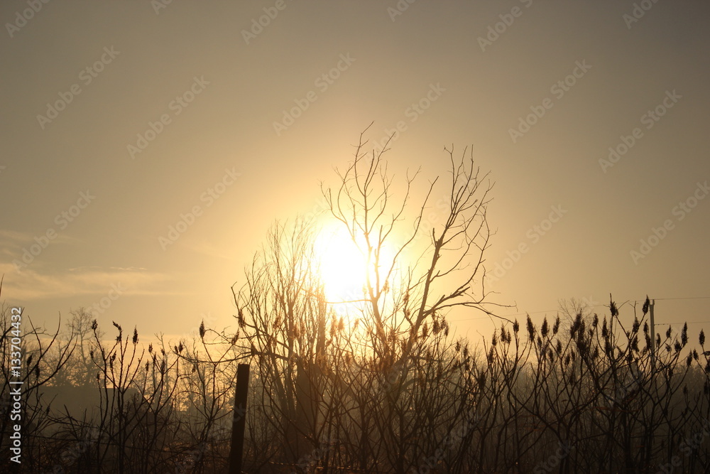 smoky sunrise