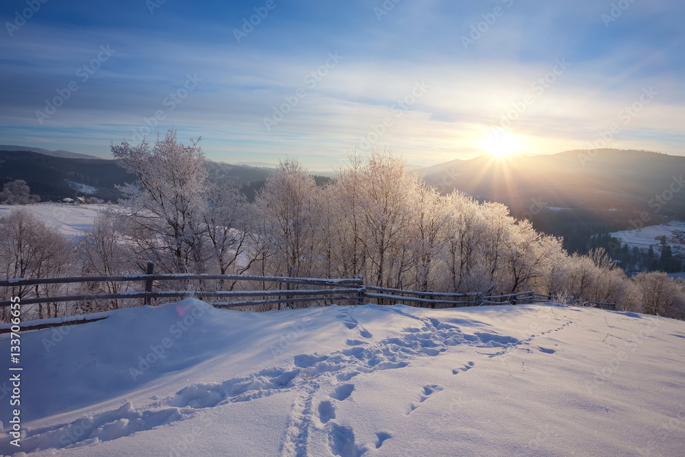 Obraz premium Winter landscape. road covered with snow