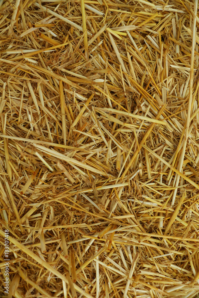 Close up of straw background texture Close up of straw background texture